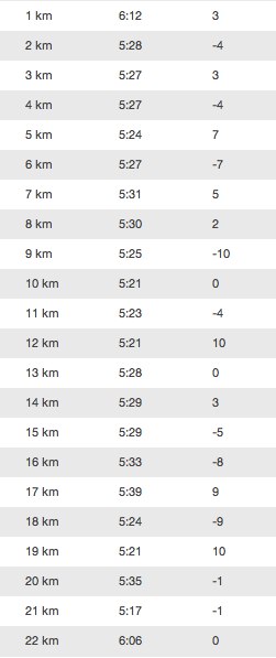 Running Activity 21.26 km | RunKeeper-2